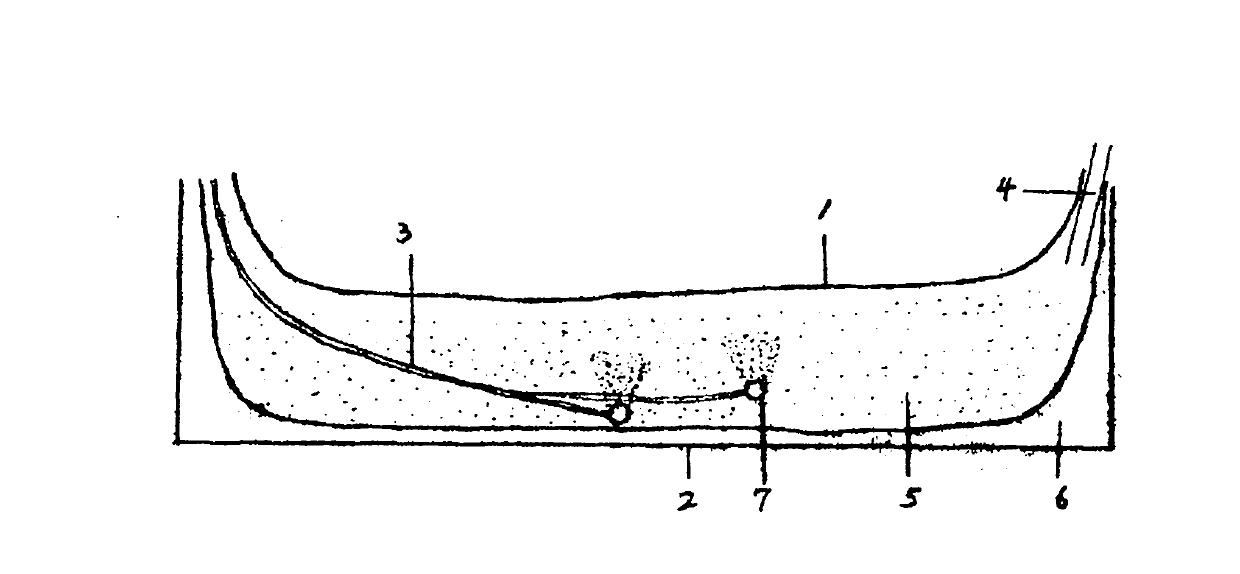 Skeletonema costatum culture medium formula and preparation method thereof, and culture method