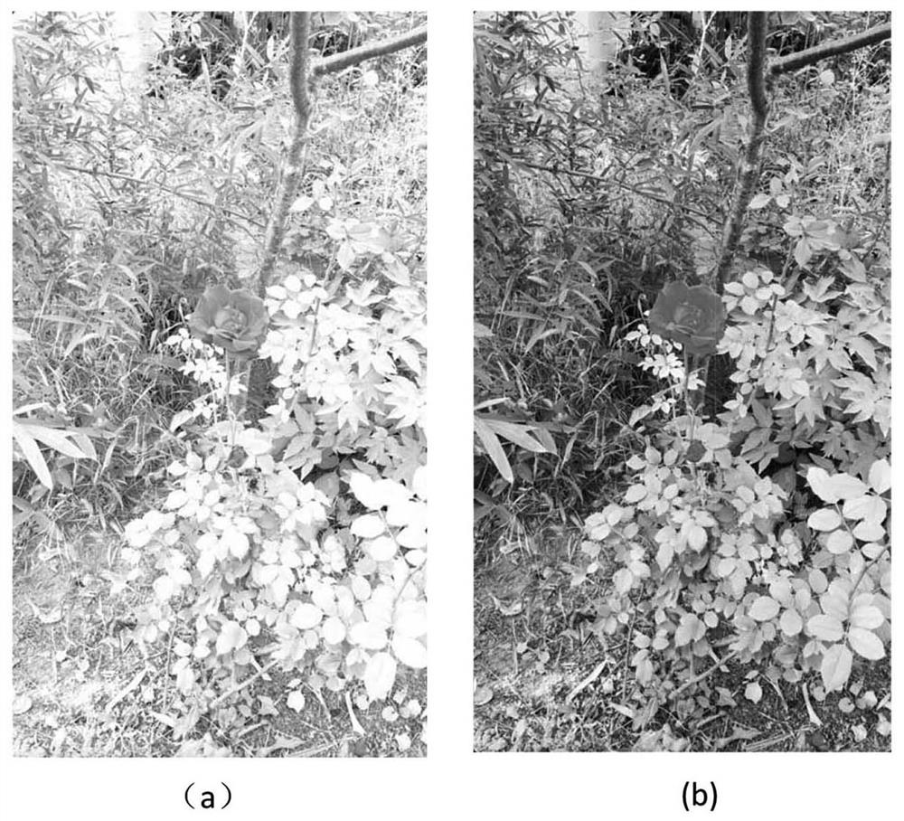 Tone mapping method and device