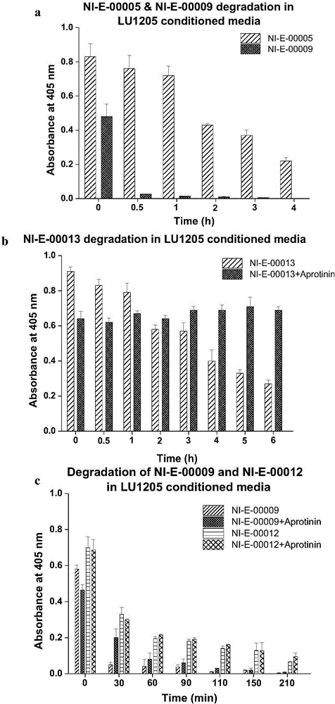 Eph kinase polypeptide inhibitor and application thereof