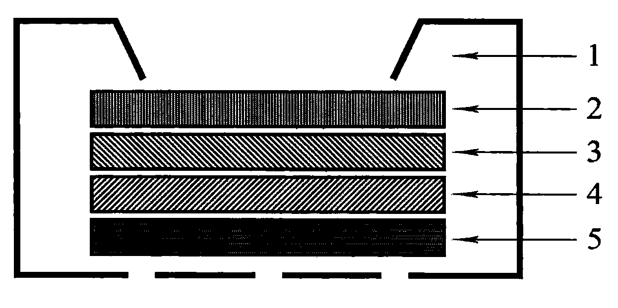 Aptamer percolated biochip and preparation method thereof