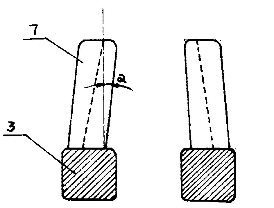 Cheekbone positioning fixing apparatus