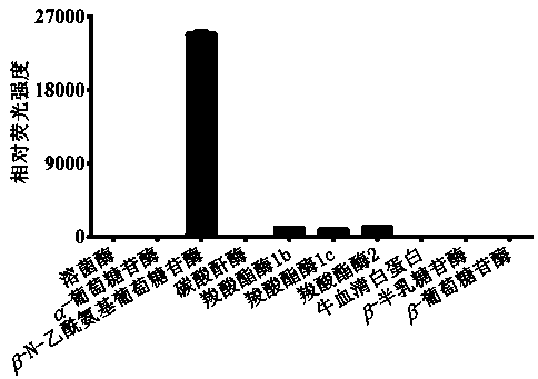 Fluorescent probe for detecting N-acetyl-beta-D-glucosaminidase and application thereof