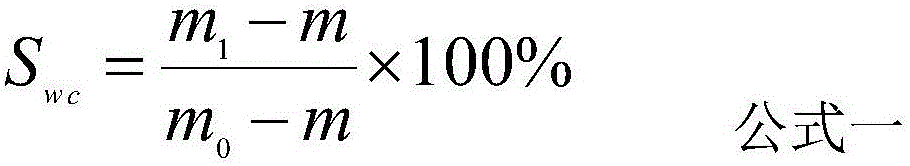 Method for testing gas-water relative permeability curve by using tight sandstone steady state method