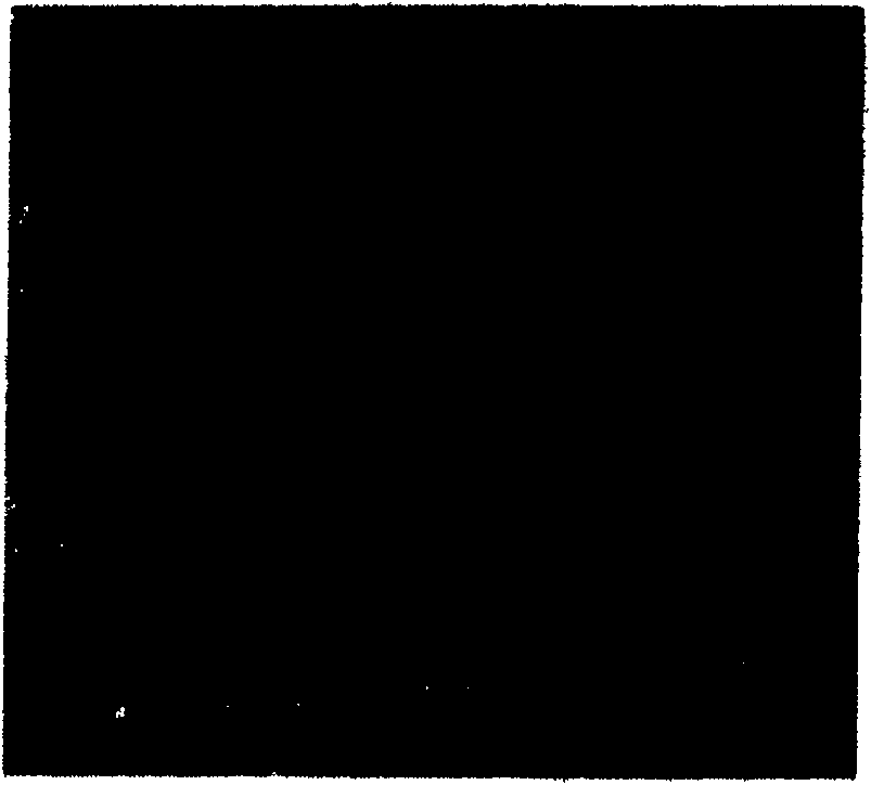 Method for rapidly sintering Nd-Fe-B ferromagnet