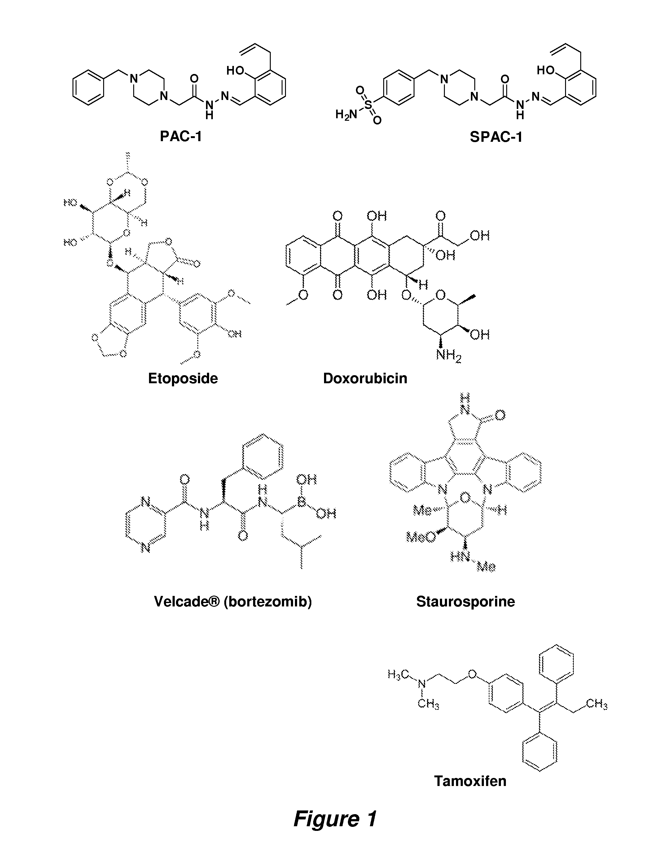 Procaspase 3 activation by combination therapy