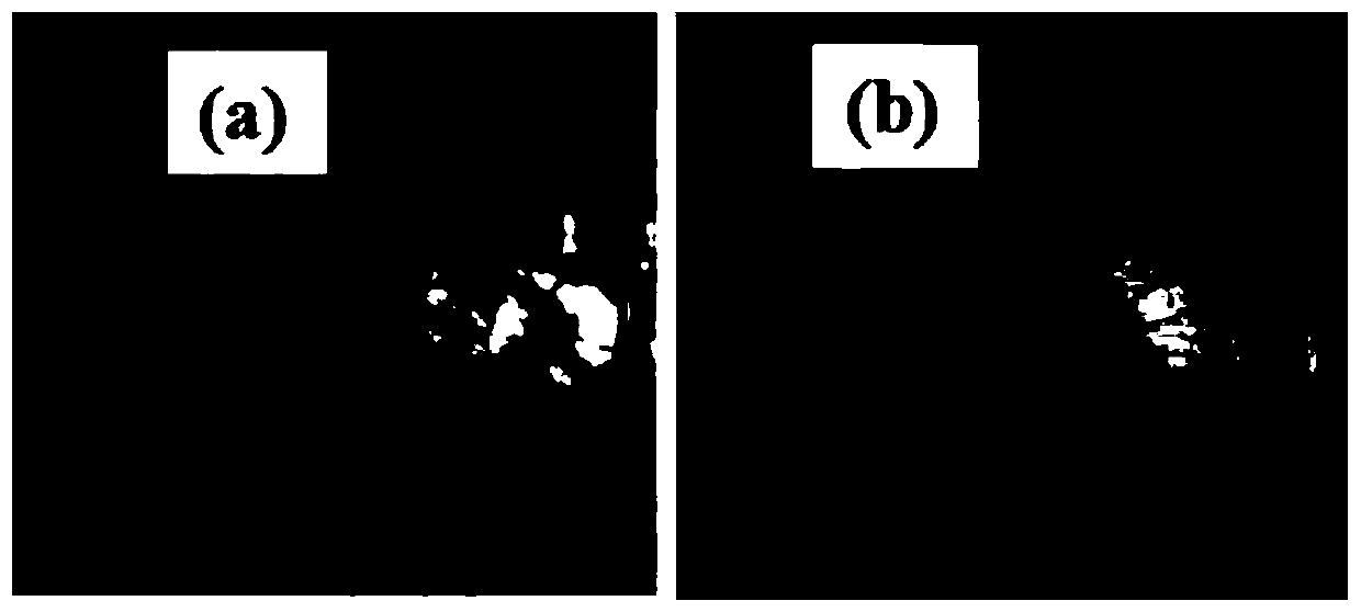 A kind of polycarbonate polyol and its preparation method and application