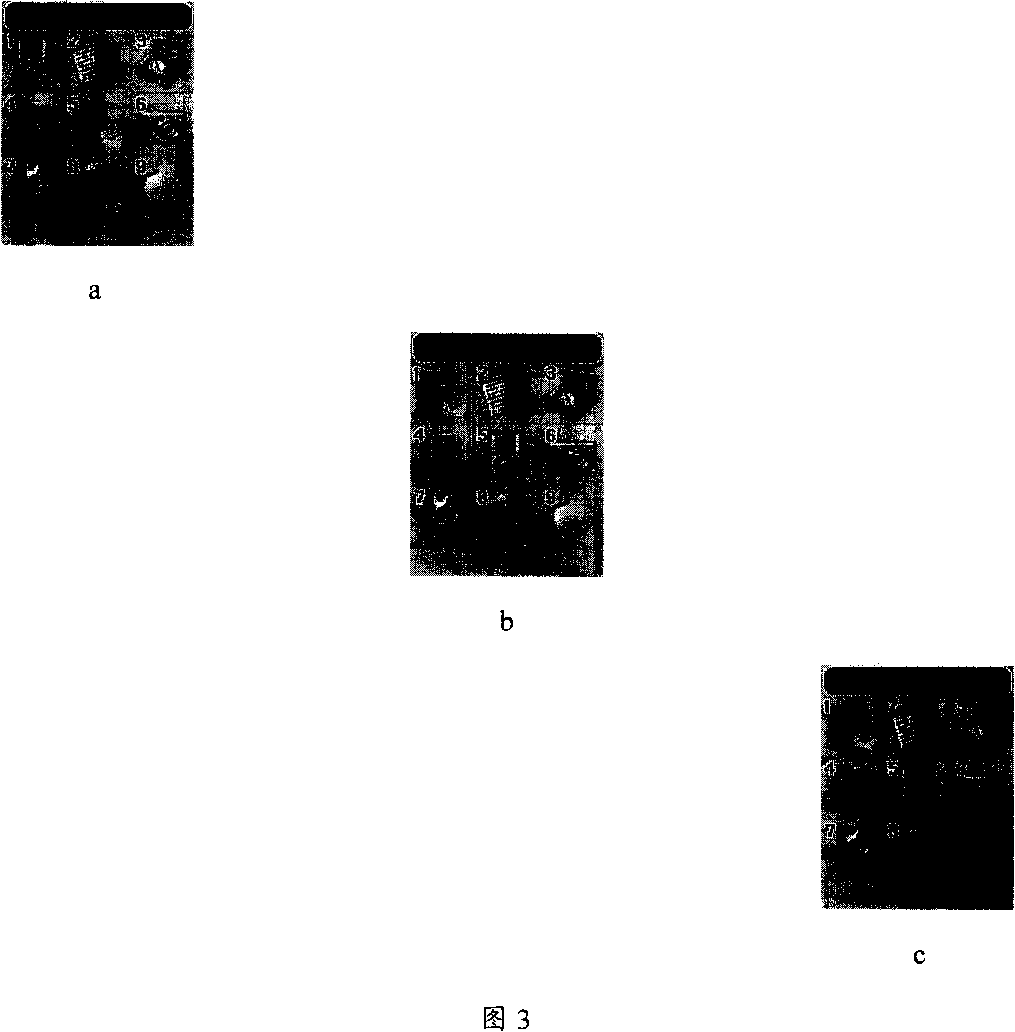 Dynamic setting method for mobile phone menu system