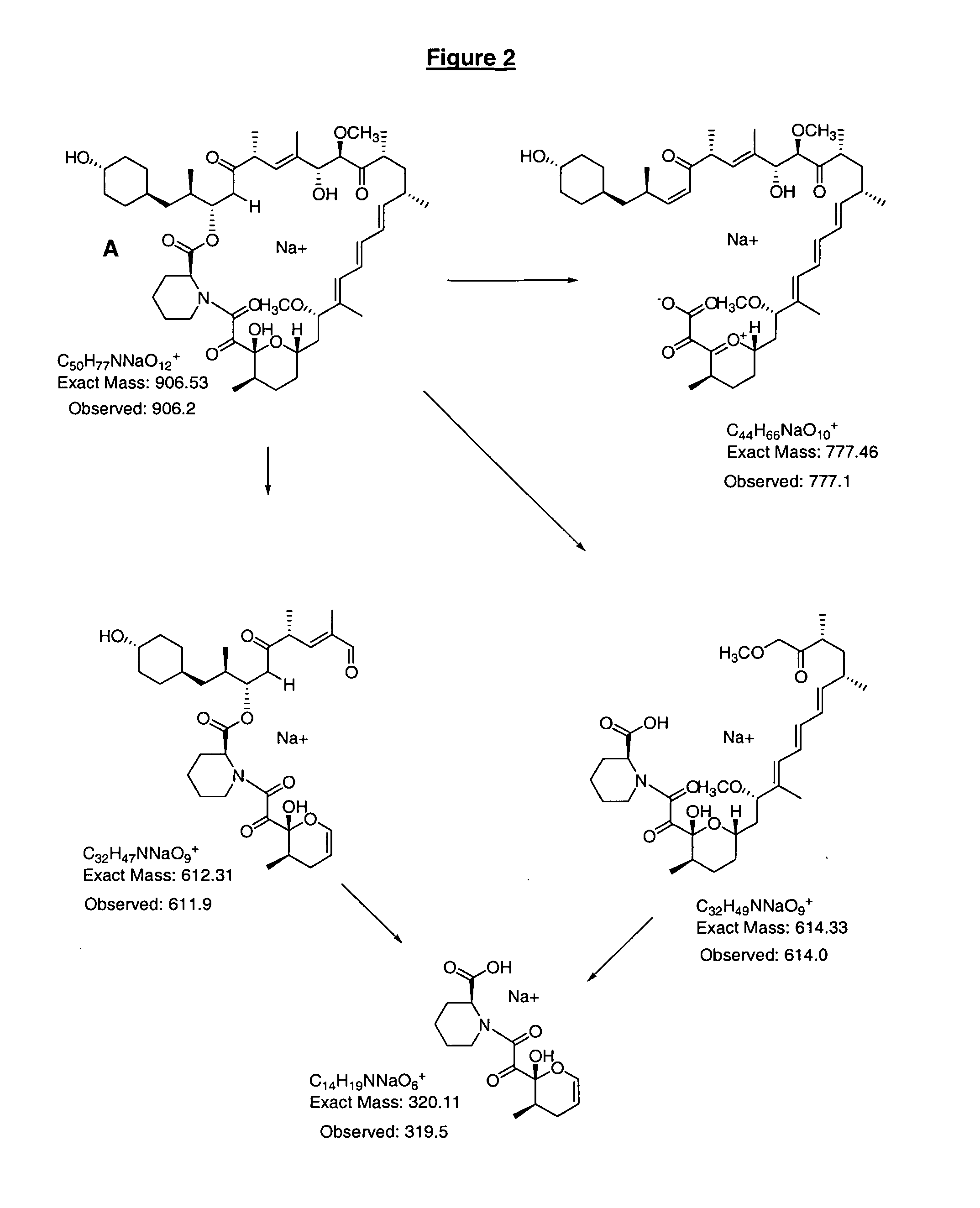 39-desmethoxyrapamycin, compositions and methods of use thereof