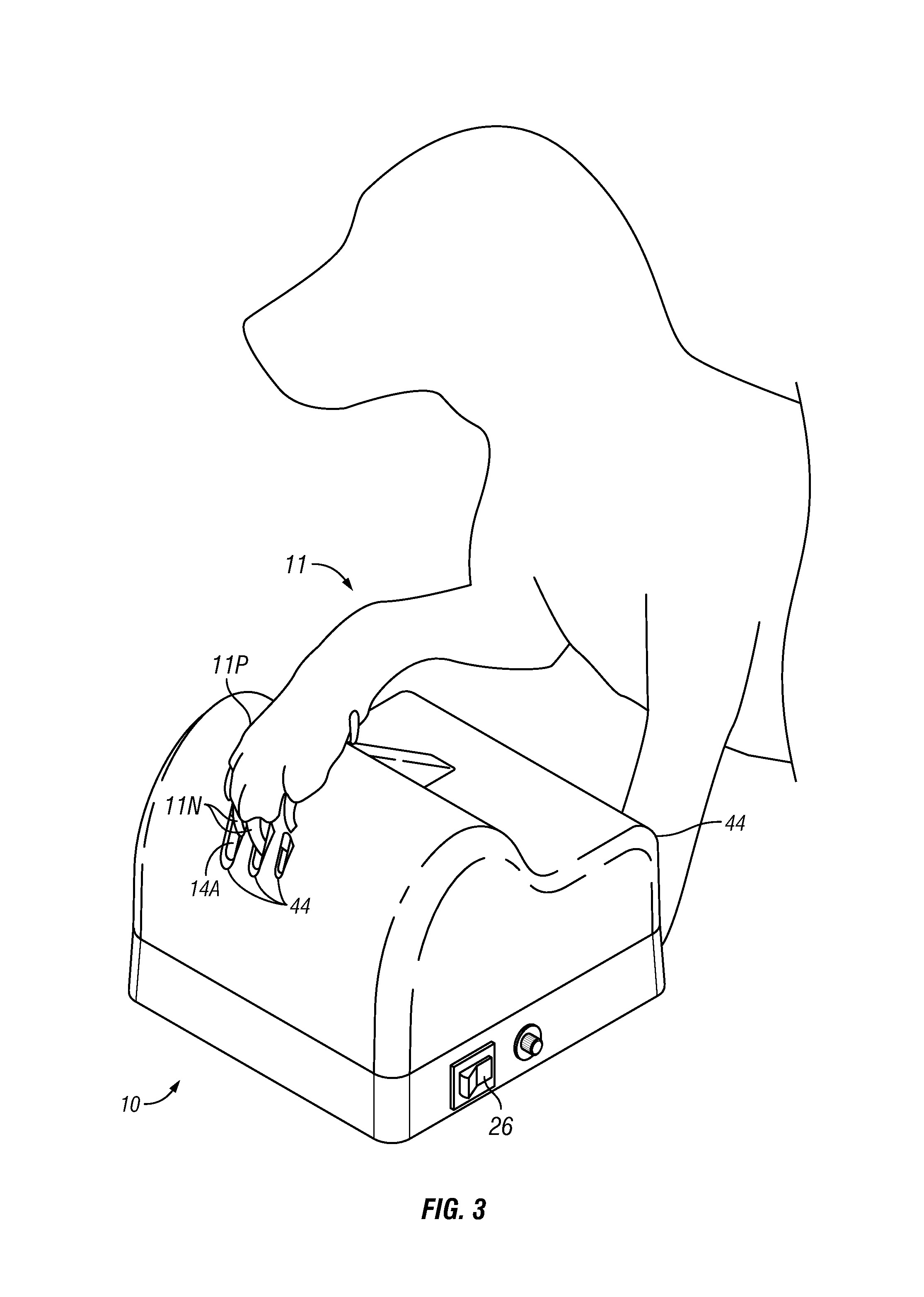 Pet nail filing device