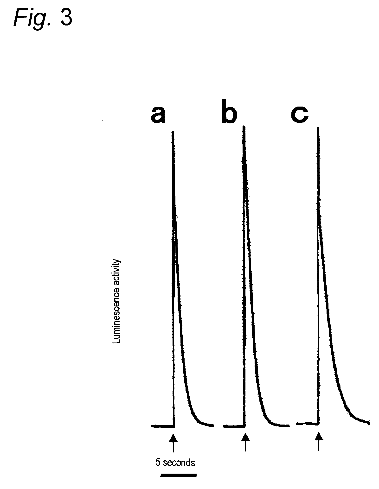 Recombinant photoproteins and their conjugates