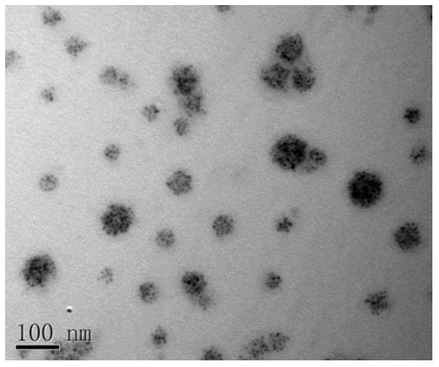 Preparation method of AFP (alpha fetoprotein) immunochromatographic test strip based on QDs (quantum dots)