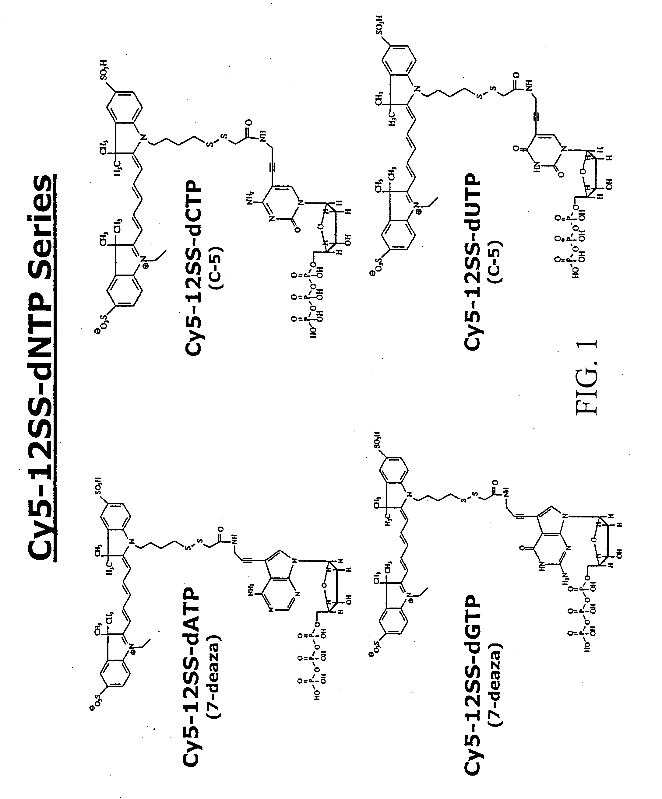 Consecutive base single molecule sequencing