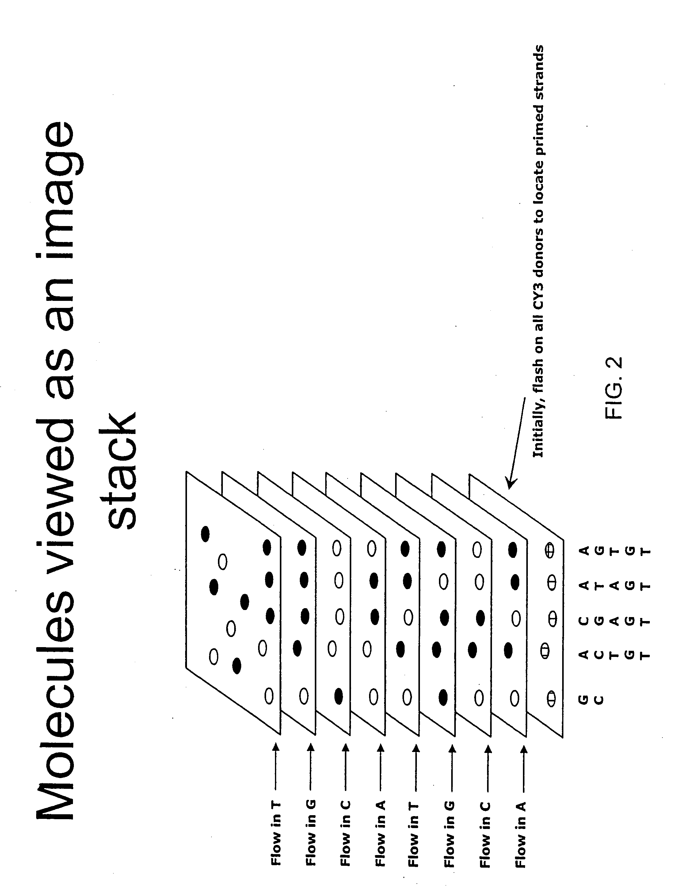 Consecutive base single molecule sequencing