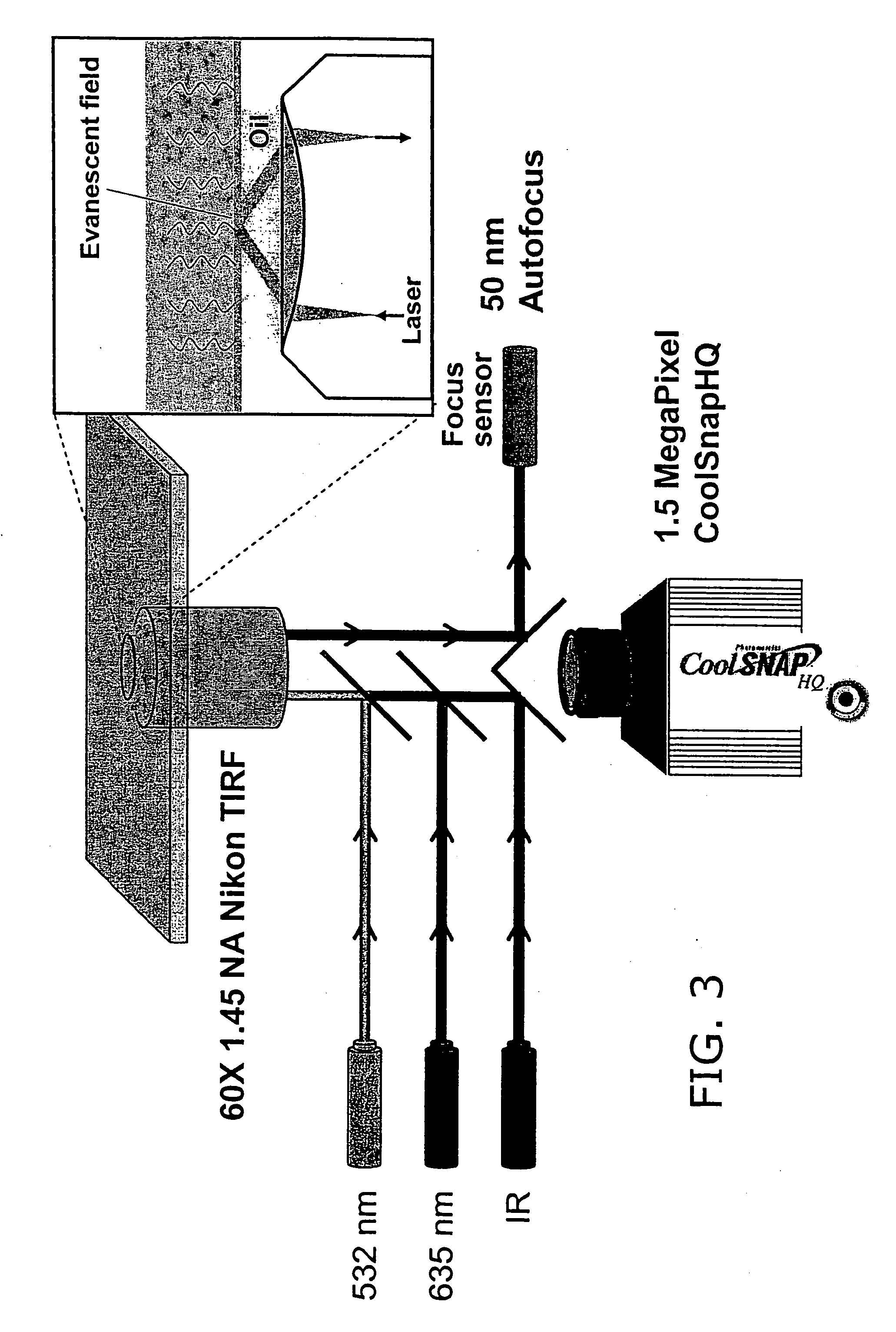 Consecutive base single molecule sequencing