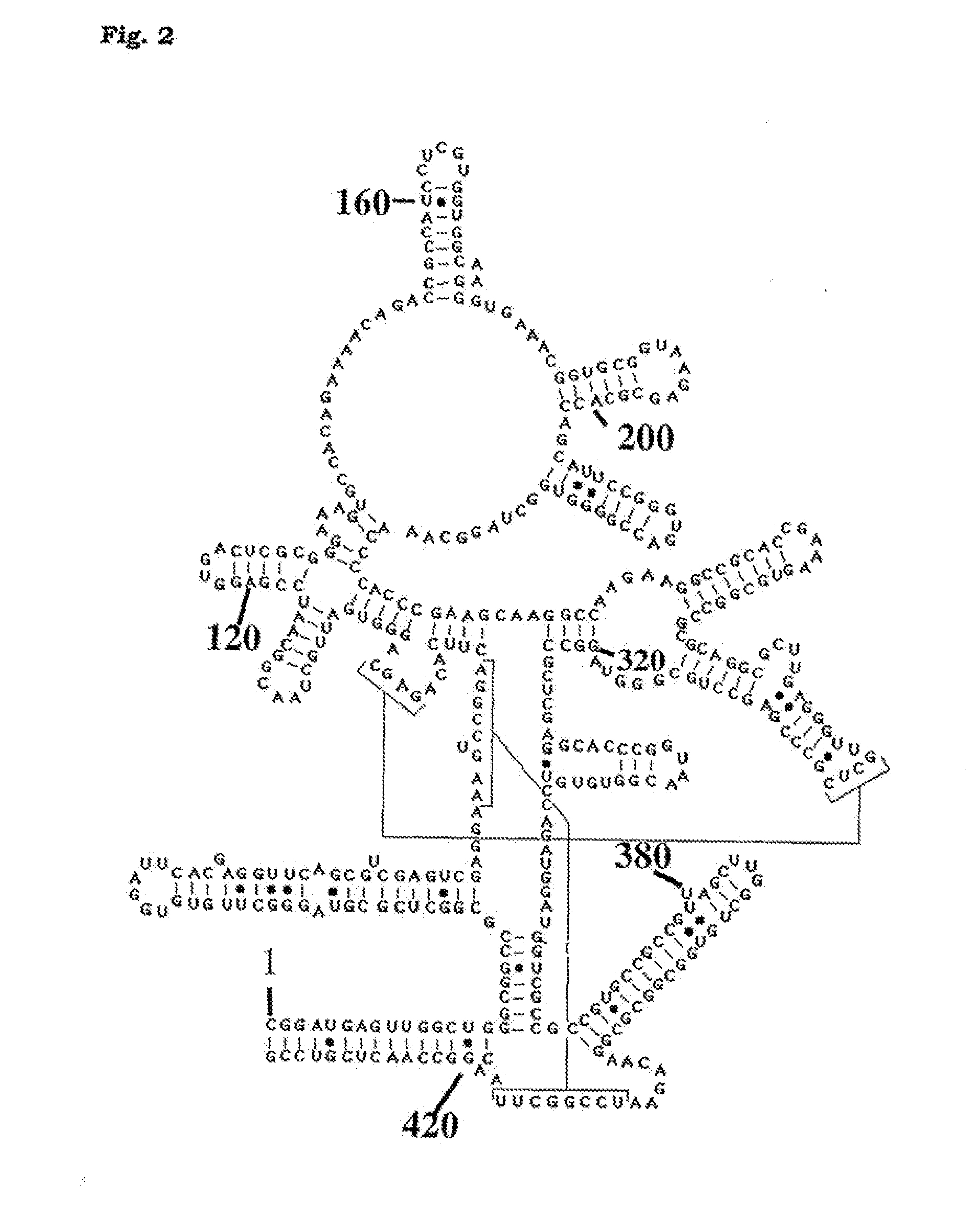 Method for detection of pathogenic organisms