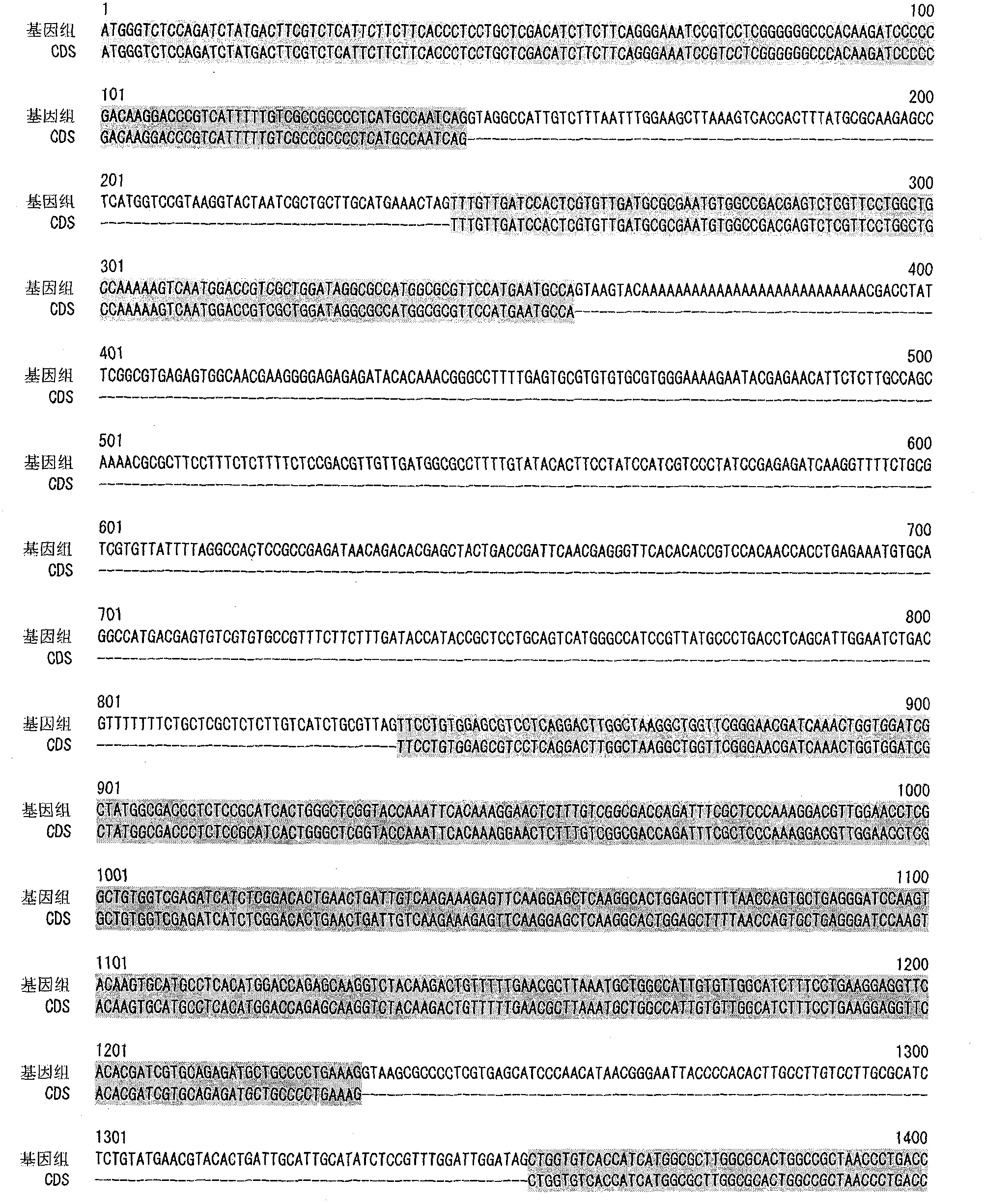 Glycerol-3-phosphate acyl transferase