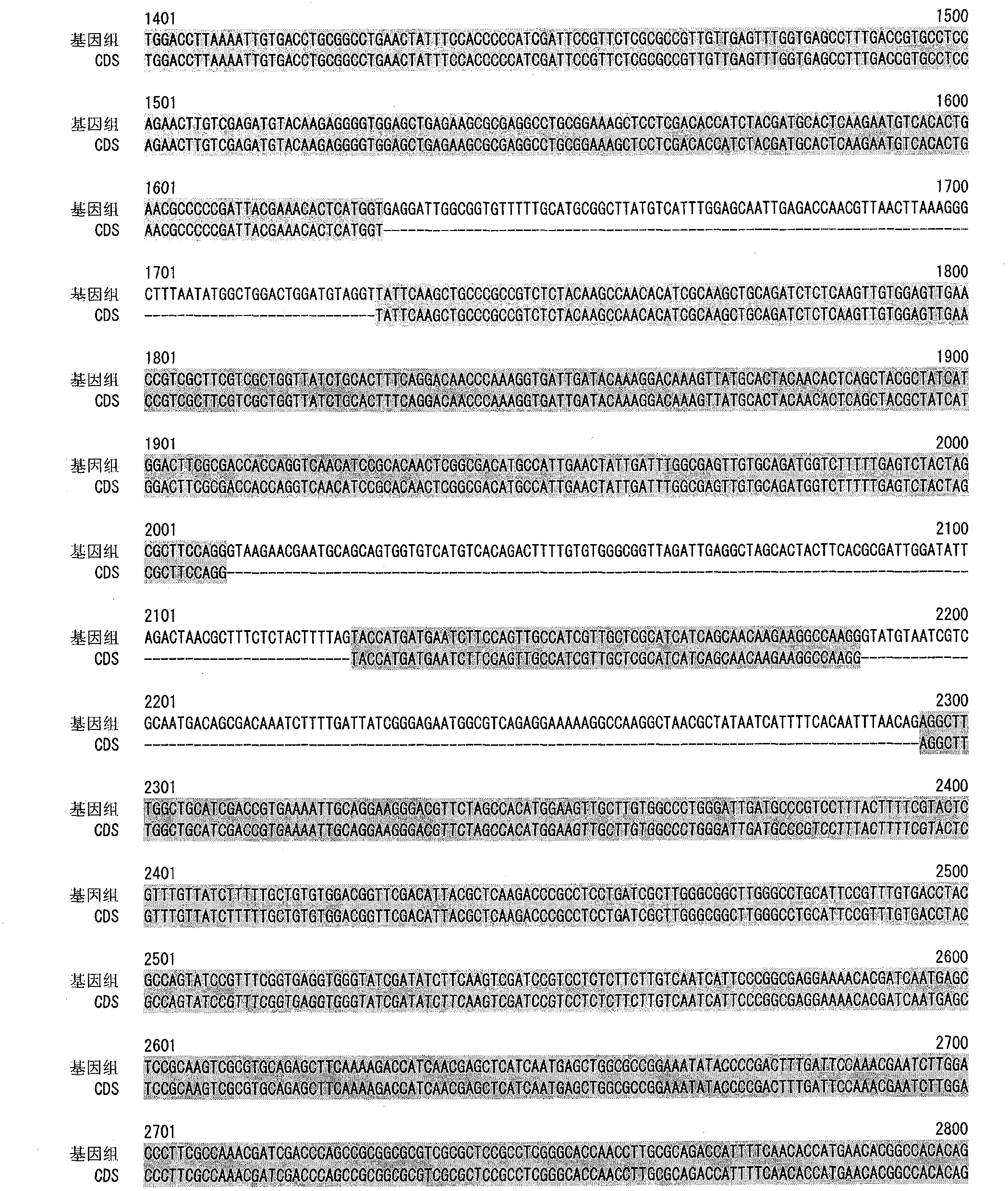 Glycerol-3-phosphate acyl transferase