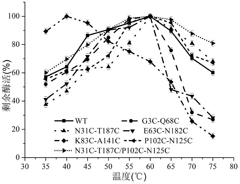 1,3-1,4-beta-glucanase mutant