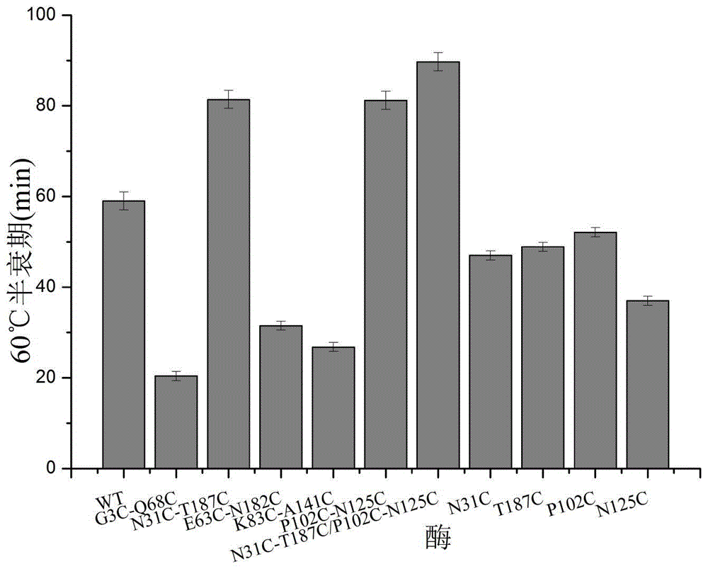 1,3-1,4-beta-glucanase mutant