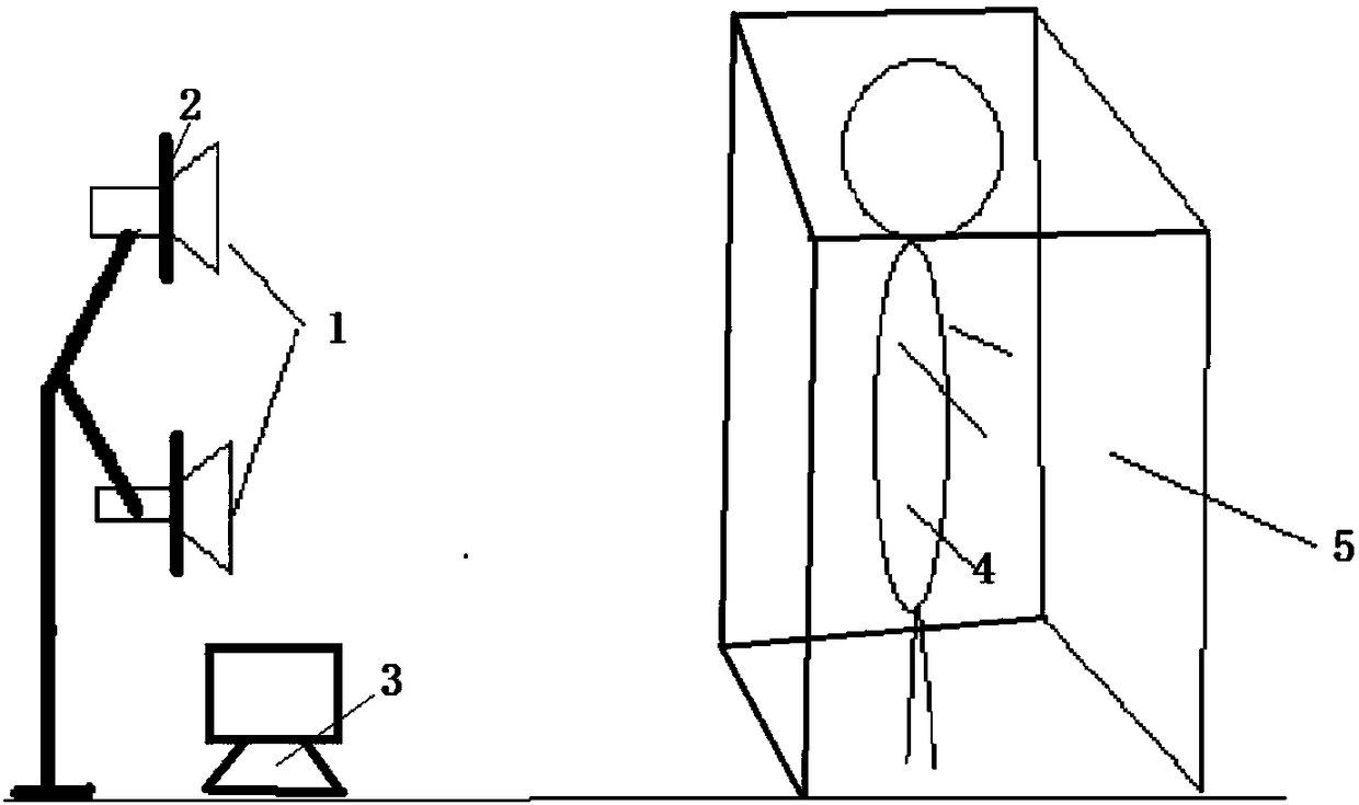 Back three-dimensional symmetry evaluating device and method