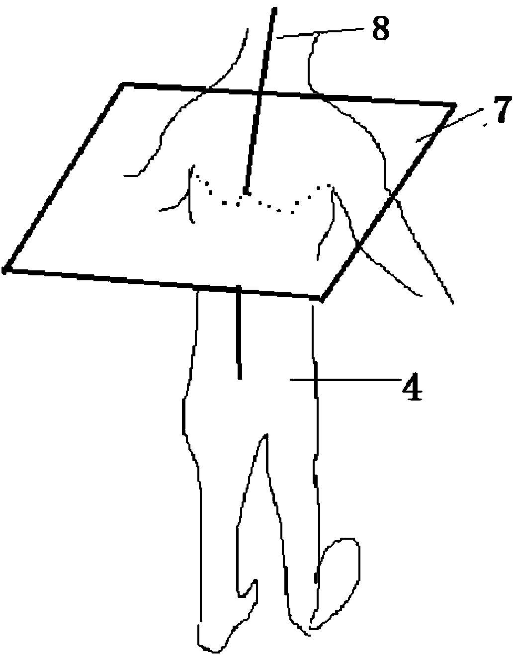 Back three-dimensional symmetry evaluating device and method