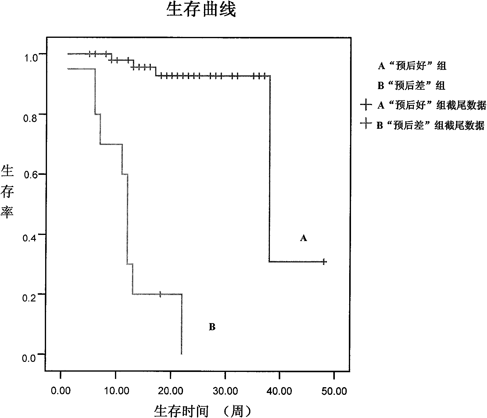 Gene group for selection and/or prognostic evaluation of lung cancer treatment scheme, gene chip and detection kit thereof