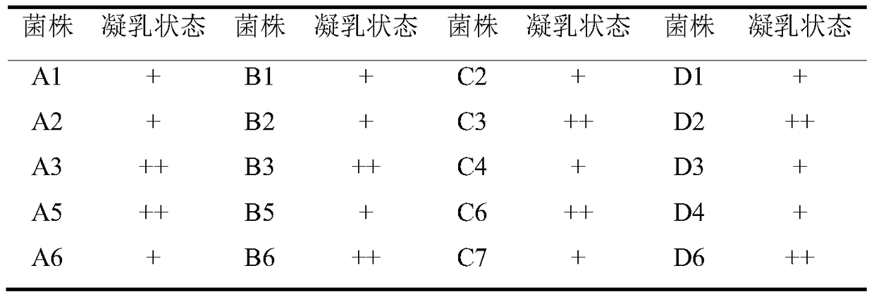 Lactobacillus plantarum grx16 and its application