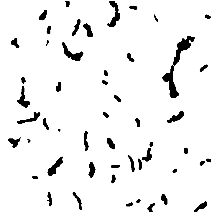 Lactobacillus plantarum grx16 and its application