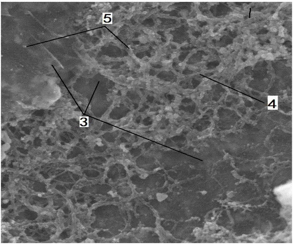 Preparing method for aluminum base graphene and carbon nano tube composite heat dissipation material