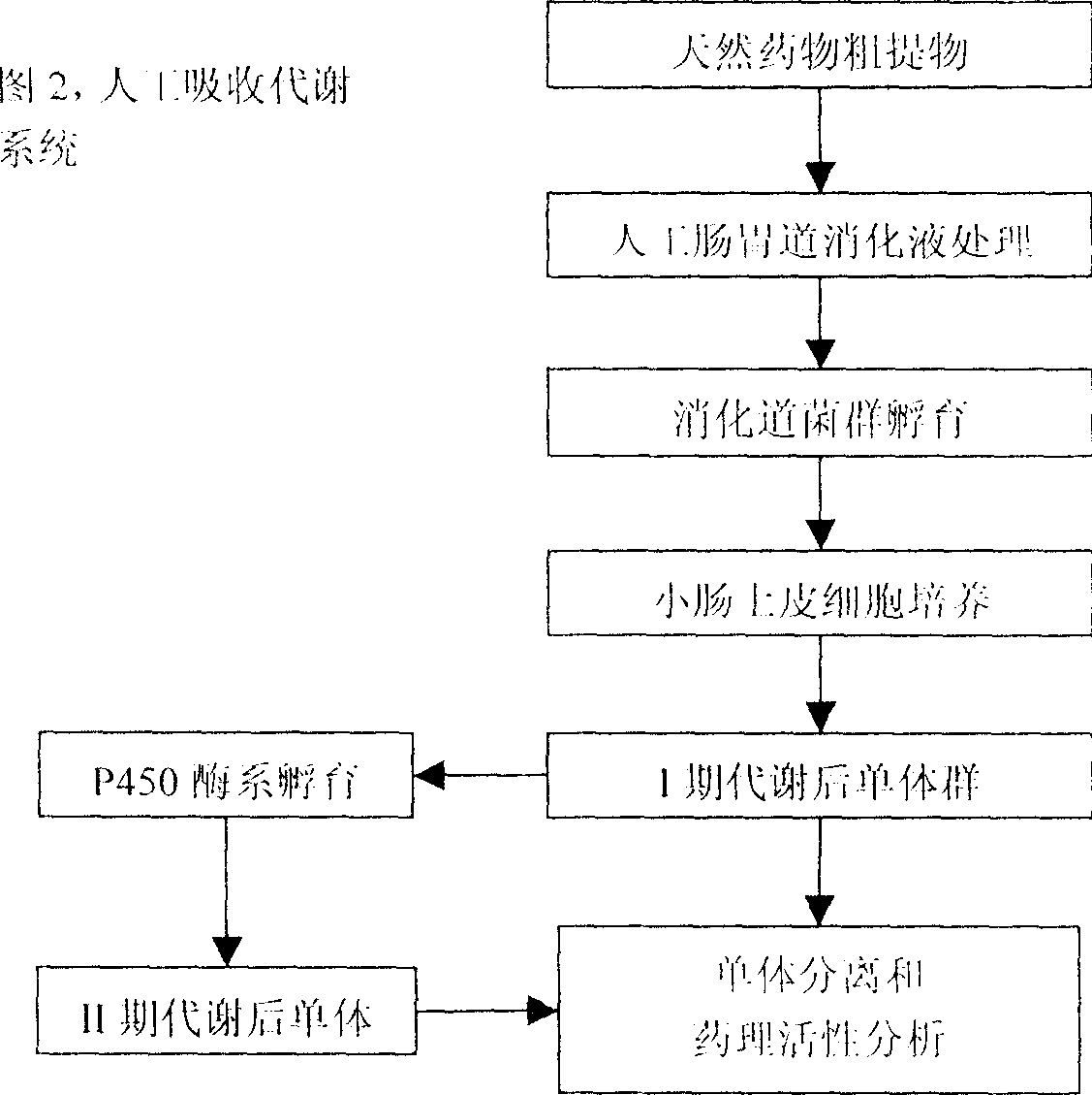 Medicine development and preparation using absorbed and metabolized natural medicine component as main component