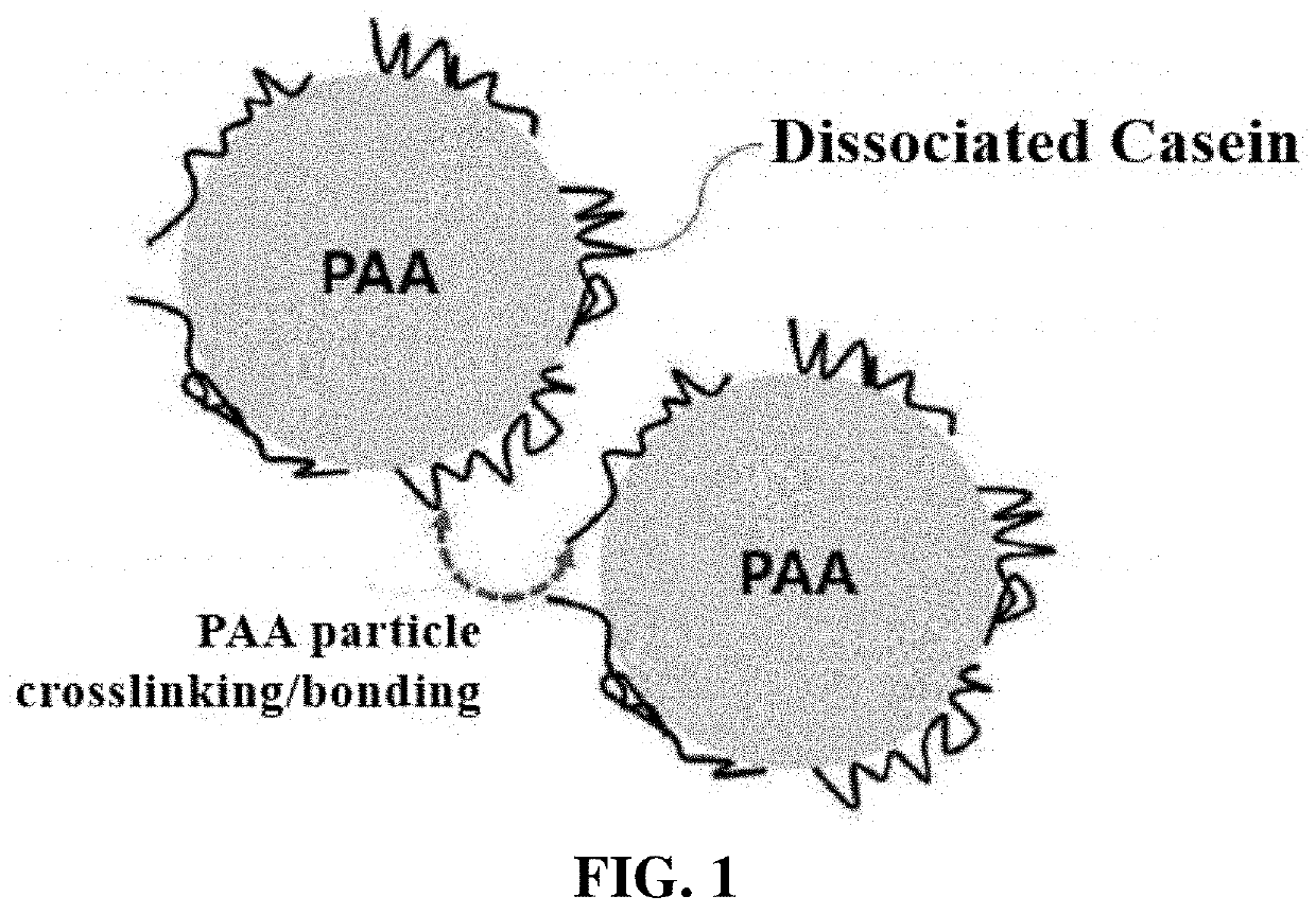 Coating composition, method for manufacturing same, and separator comprising same