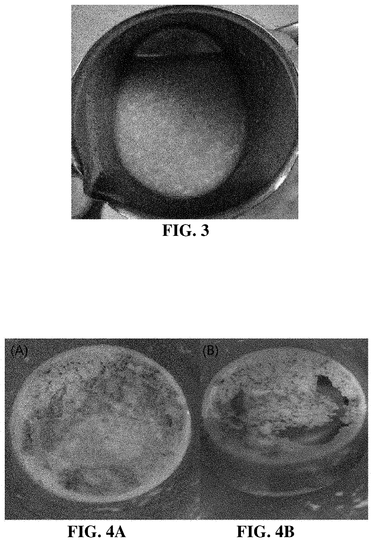 Coating composition, method for manufacturing same, and separator comprising same