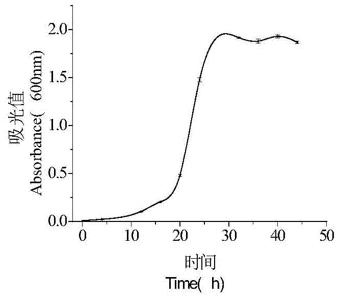 Isolated Pantoea pineapple hyl01 strain and its application in promoting watermelon root growth