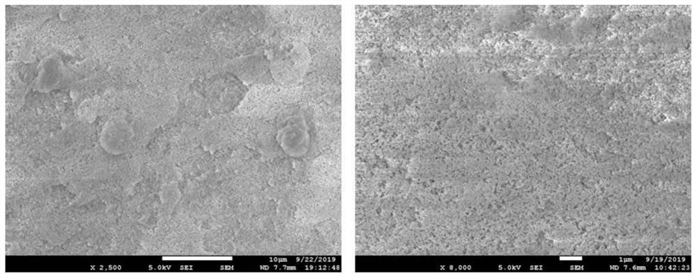 Transparent water-impact-resistant super-lyophobic coating as well as preparation method and application of transparent water-impact-resistant super-lyophobic coating