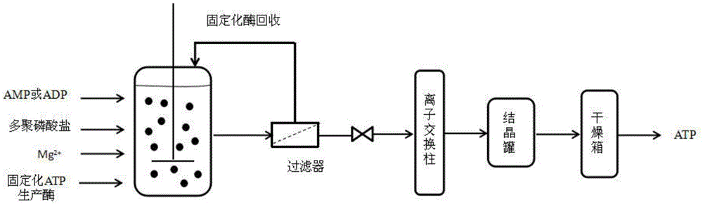 Method for preparing adenosine triphosphate with immobilized enzyme method