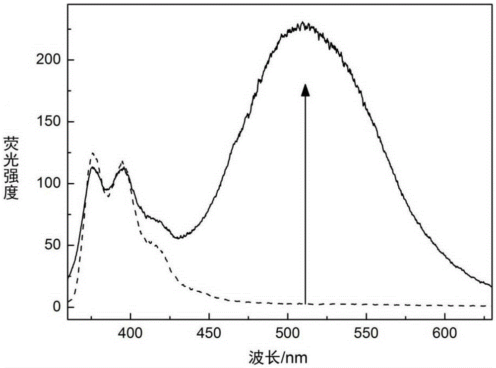 Fluorescent molecular probe and application thereof in detecting carbohydrates