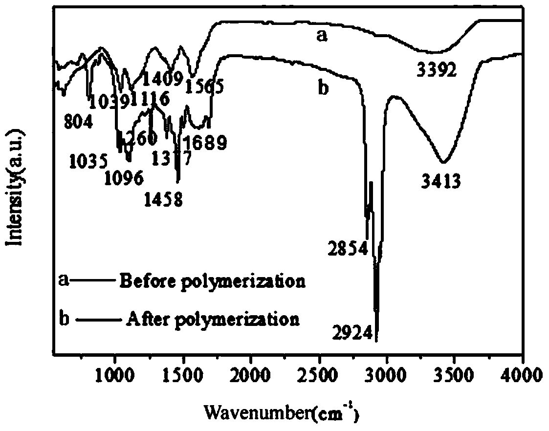 Lignin-based grafted modified porous adsorbing material and preparation method thereof