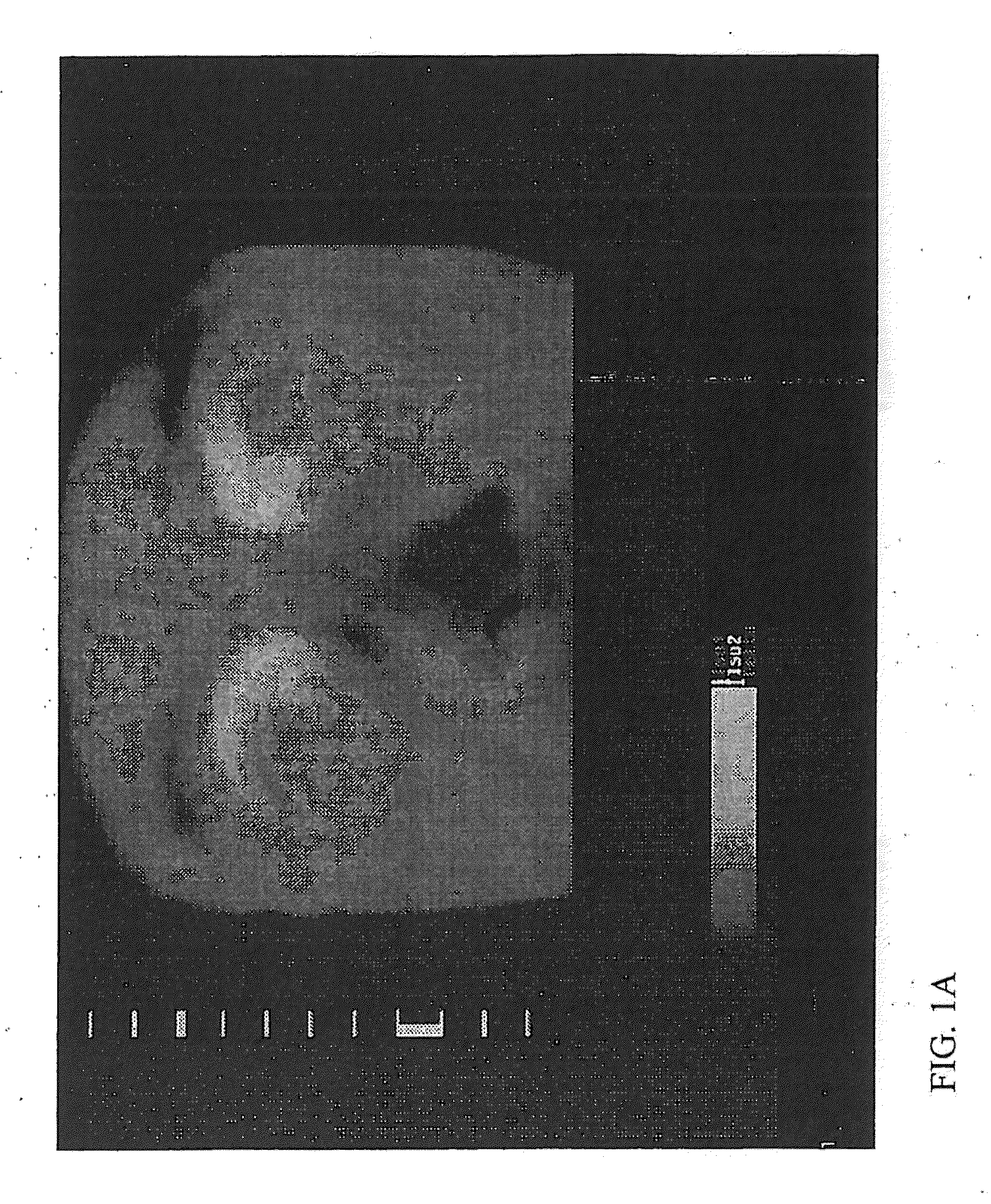 Apparatus and method for measuring biologic parameters