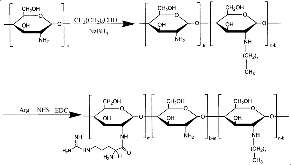 Application of using amphiphilic N-long-chain alkyl-N-arginine chitosan as solubilizing and absorption prompting carrier of gambogic acid