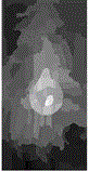 Salient object segmenting method in stereo image based on depth information and image cutting