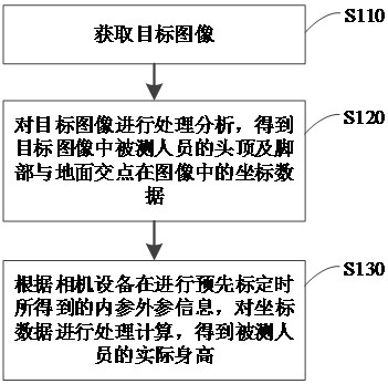 Human body height measurement method and device based on monocular vision and electronic equipment