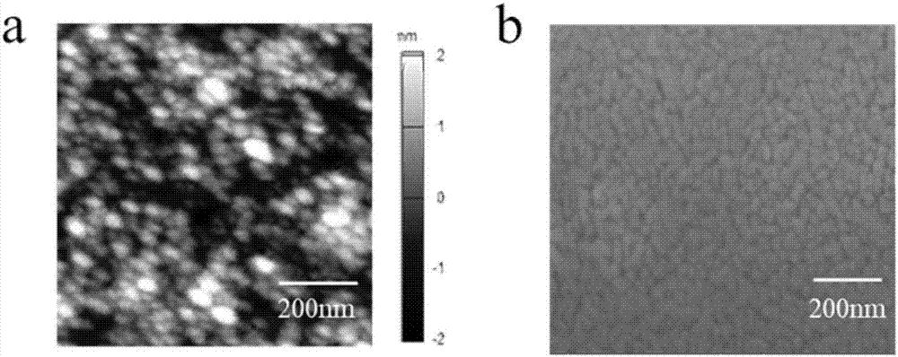 Measuring method for lactic dehydrogenase activity based on titanium dioxide film field-effect tube