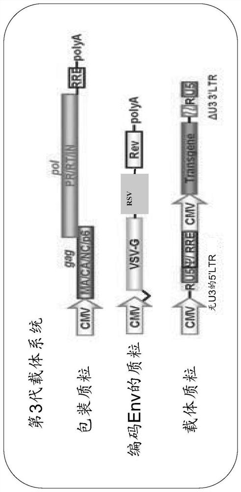 Method for enhancing lentivirus vector production