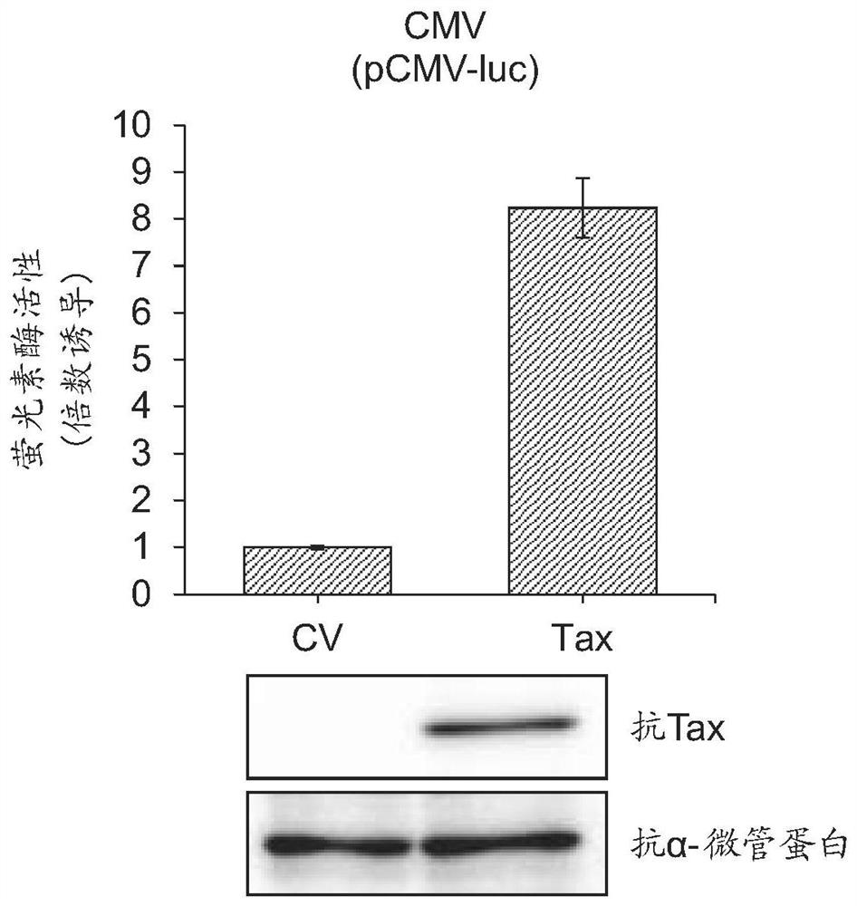 Method for enhancing lentivirus vector production