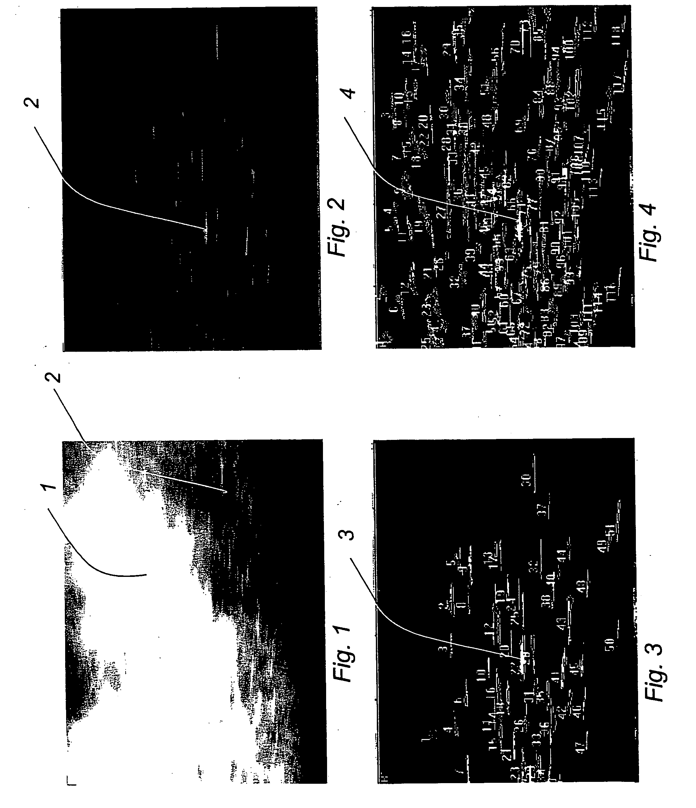 Process for monitoring and controlling of thermal spray process