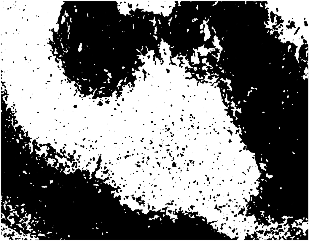 Spray photosensitizer composition for photodynamic therapy to treat diseases of nasal and laryngopharyngeal cavities