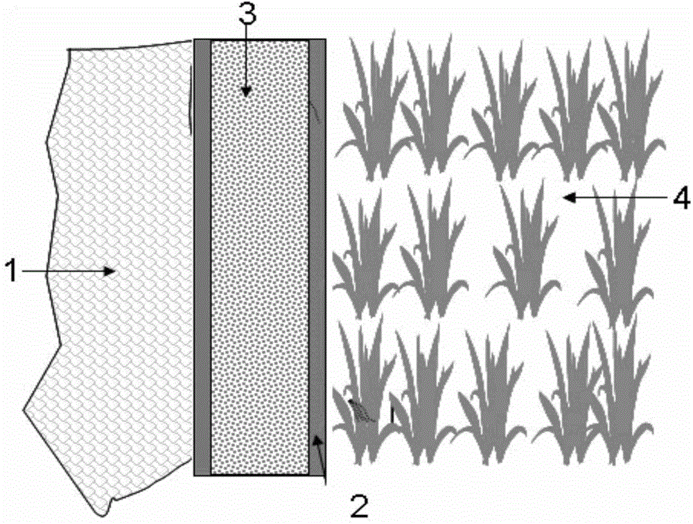 Ecological field ridge for reducing lateral seepage of rice field diffused pollution