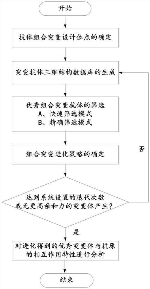 Computer antibody combinatorial mutation evolution system and method, information data processing terminal