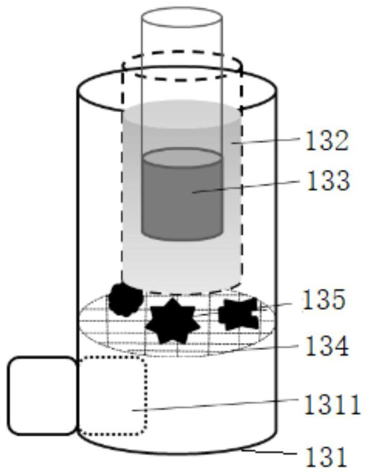 Rejuvenation method of short-branch casuarina equisetifolia mature woods