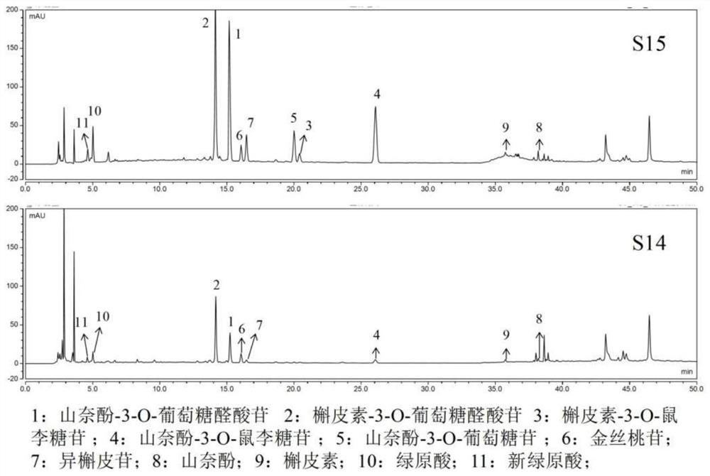 Cyclocarya paliurus mogroside as well as preparation method and application thereof